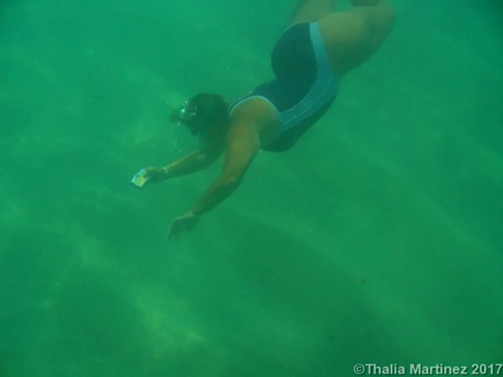 Snorkeling y aventura en el lado sur: Yelapa o Quimixto con Las Animas –  Vallarta Natours